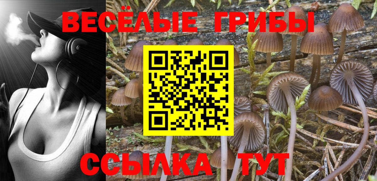 Галлюциногенные грибы Magic Shrooms Дубна