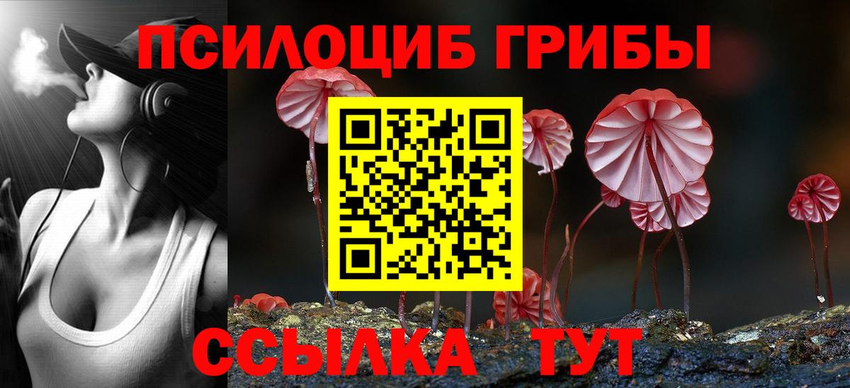 Псилоцибиновые грибы Psilocybine cubensis  Псилоцибиновые грибы прущие грибы  Дубна  Вход с VPN 