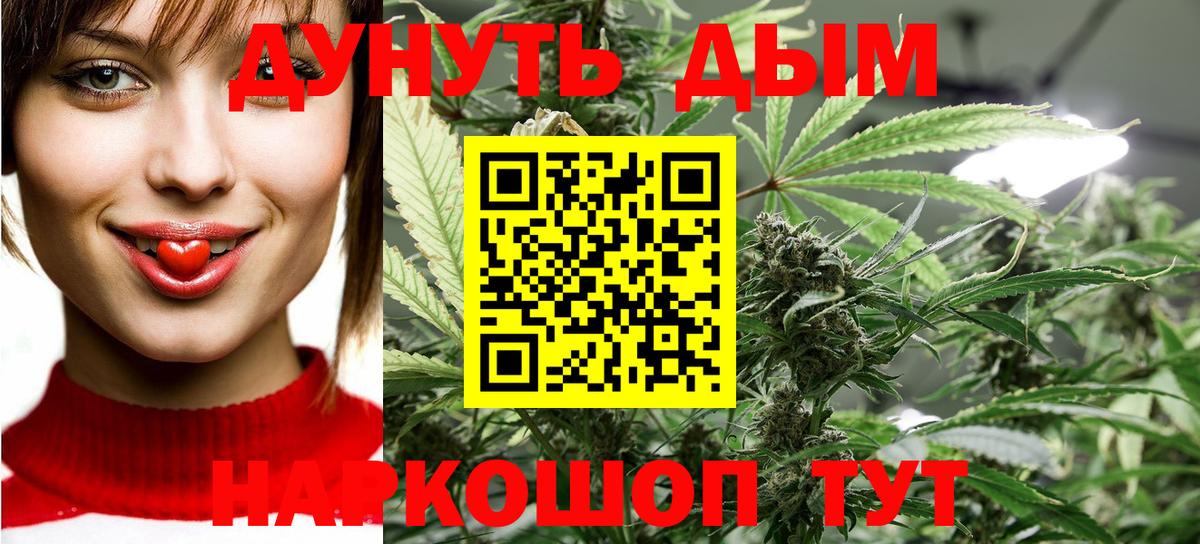Каннабис конопля Дубна